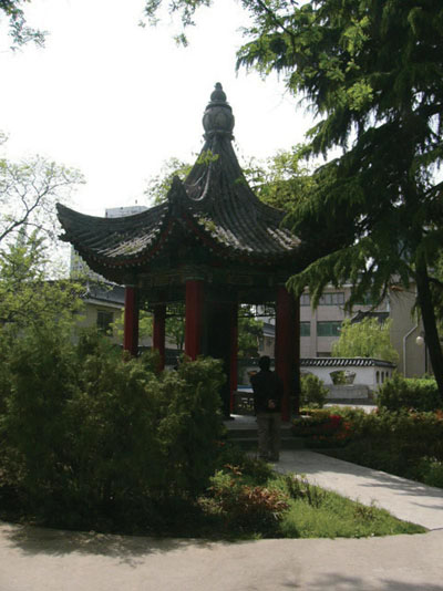 王泰吉