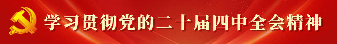 学习贯彻党的二十届四中全会精神