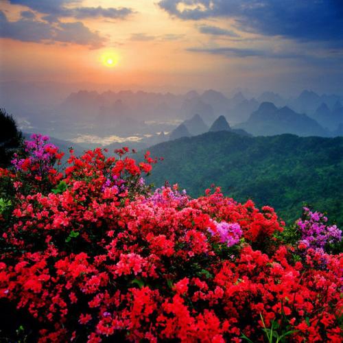 1496828408686051230.jpg 36.jpg