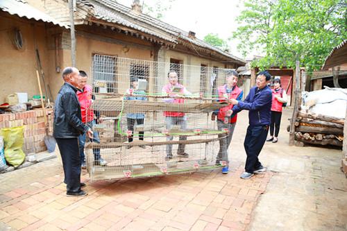 图片6.jpg