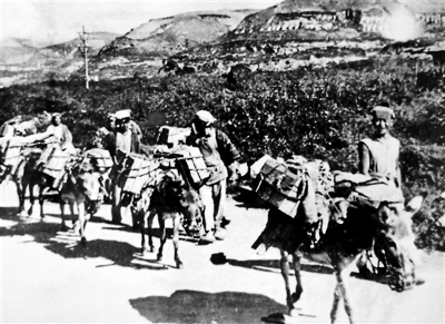 zhjihe0125_b.jpg